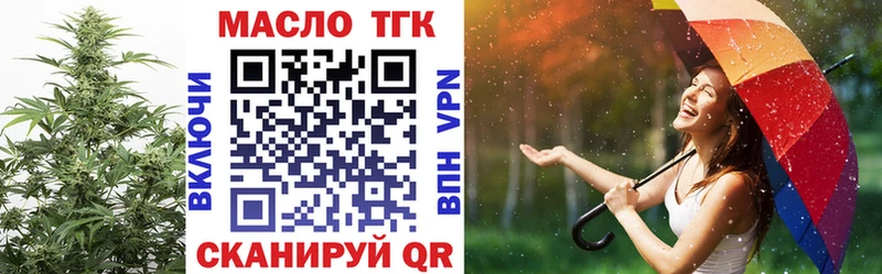 Купить закладки  Кириши  ТГК жижа 