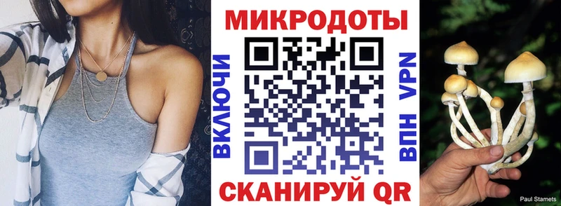 Галлюциногенные грибы мицелий  Купить  Кириши 